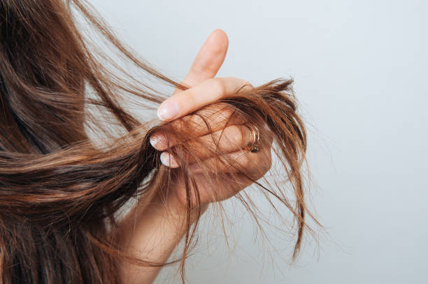 What shampoo is the best for dry damaged hair?