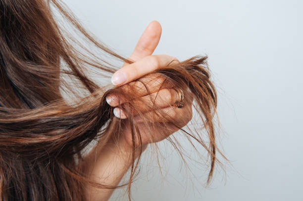 What shampoo is the best for dry damaged hair?