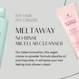 Alterna Canvas Meltaway No-Rinse Micellar Cleanser 25ml - Born Hair Care