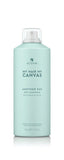 Alterna Canvas Another Day Dry Shampoo 142g - Born Hair Care